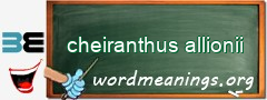 WordMeaning blackboard for cheiranthus allionii
